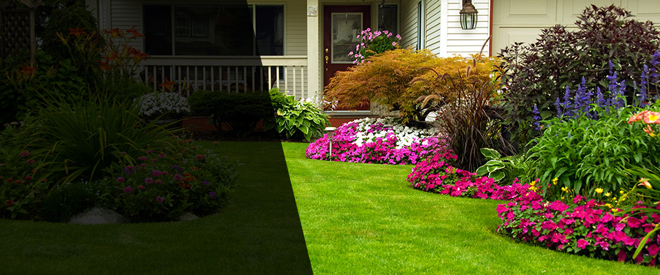 Napoleon Landscapers
