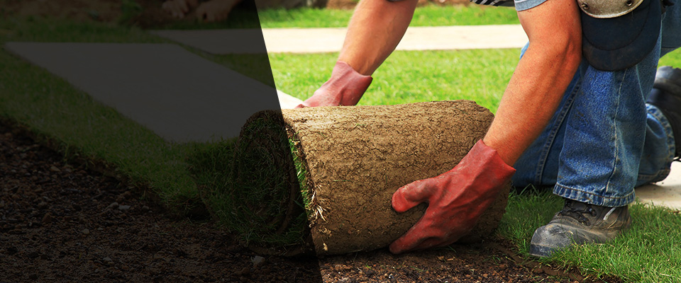Napoleon Landscapers